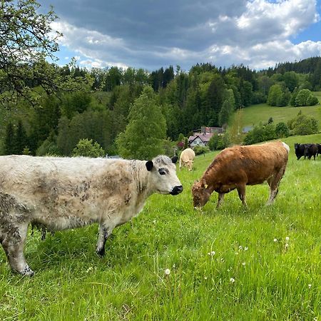 Krkonossky Apartman Bratrouchov Jablonec nad Jizerou Kültér fotó